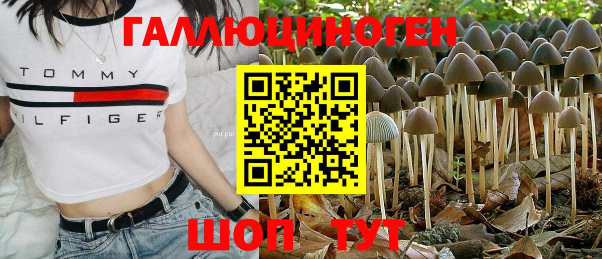 Галлюциногенные грибы мухоморы  Вход с VPN  Северск 